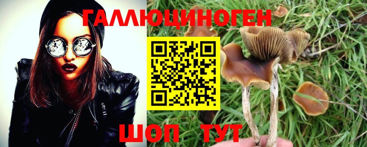 Псилоцибиновые грибы прущие грибы Среднеуральск