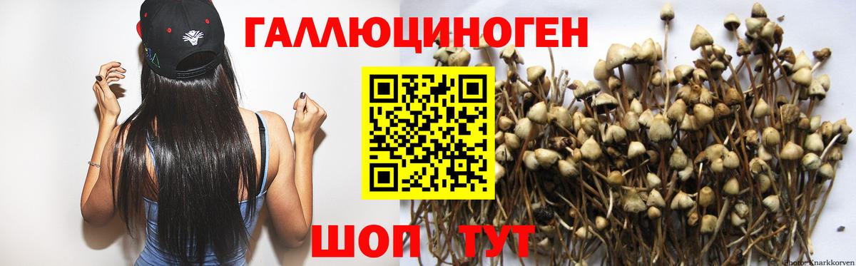 Среднеуральск  Псилоцибиновые грибы ЛСД  Вход с VPN 